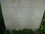 image of grave number 730716